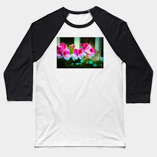 Window Box Baseball T-Shirt